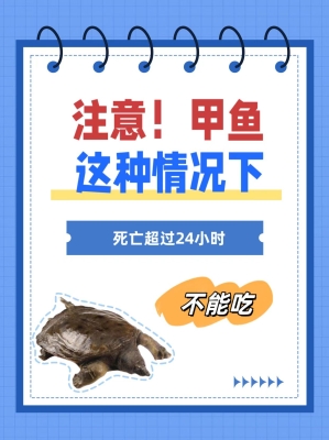 赤峰燉甲魚團購群電話號碼-第1張圖片