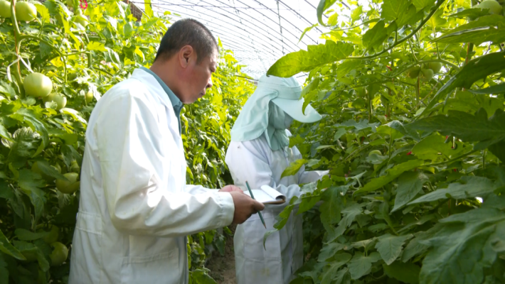 赤峰蔬菜加工廠電話號碼多少-第1張圖片