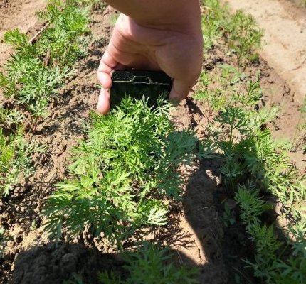 赤峰三合家紡電話號碼查詢-第1張圖片