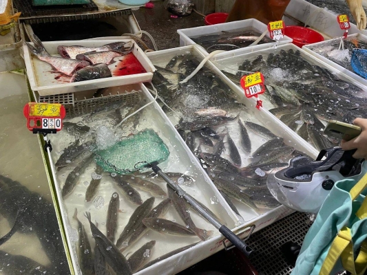 赤峰鱸魚養(yǎng)殖基地電話號碼查詢-第1張圖片