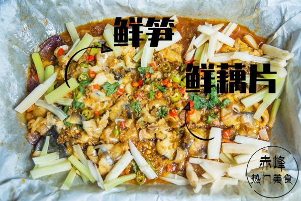 赤峰觀賞魚繁殖場電話號碼-第1張圖片