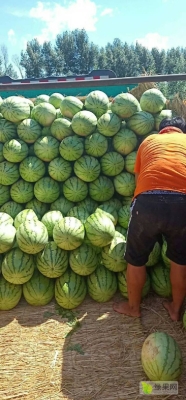 赤峰小西瓜代辦公司電話號碼-第1張圖片