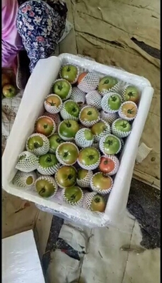 赤峰水果加工廠電話多少號-第1張圖片