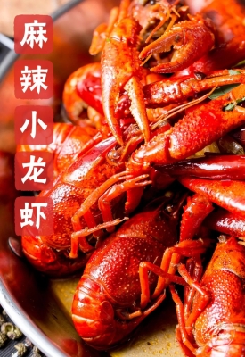 赤峰冷凍龍蝦批發(fā)市場電話號碼-第1張圖片