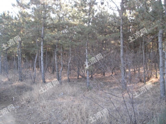 赤峰寧城膠粘管廠電話號碼查詢-第1張圖片