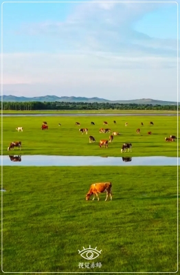 赤峰赤鸚堂地址電話號(hào)碼查詢-第1張圖片