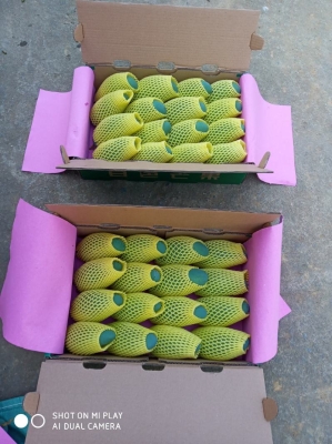 赤峰到右江區(qū)物流電話號碼-第1張圖片