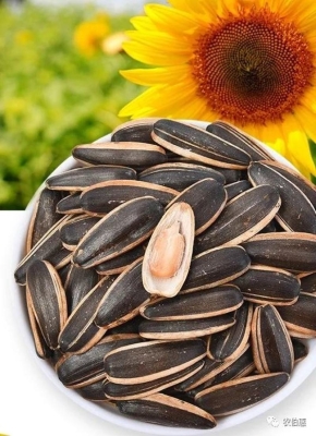 赤峰日雜批發(fā)商電話號(hào)碼查詢-第1張圖片