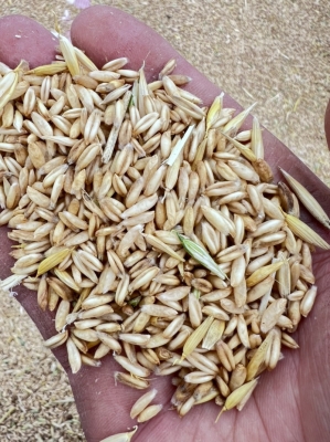 赤峰收?？蜕碳译娫?huà)地址查詢(xún)-第1張圖片