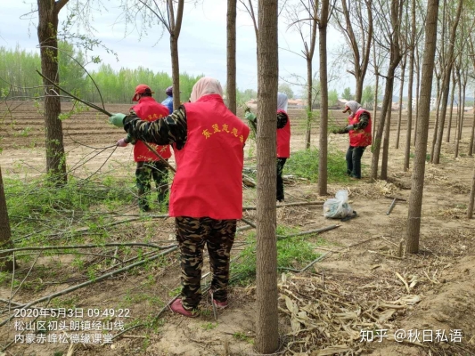 赤峰紅渠項(xiàng)目指揮部電話號(hào)碼-第1張圖片