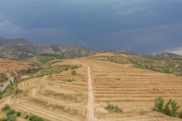 赤峰大廟助農電話是多少號-第1張圖片