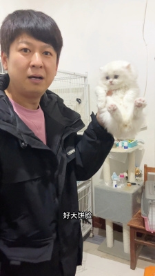 赤峰收貓電話是多少號碼-第1張圖片