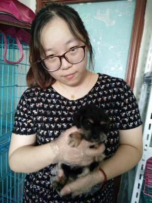 赤峰領(lǐng)養(yǎng)小動(dòng)物電話地址查詢-第1張圖片