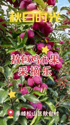 赤峰采摘園最新招聘電話號(hào)碼-第1張圖片