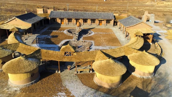 赤峰出售秧苗電話號碼查詢地址-第1張圖片