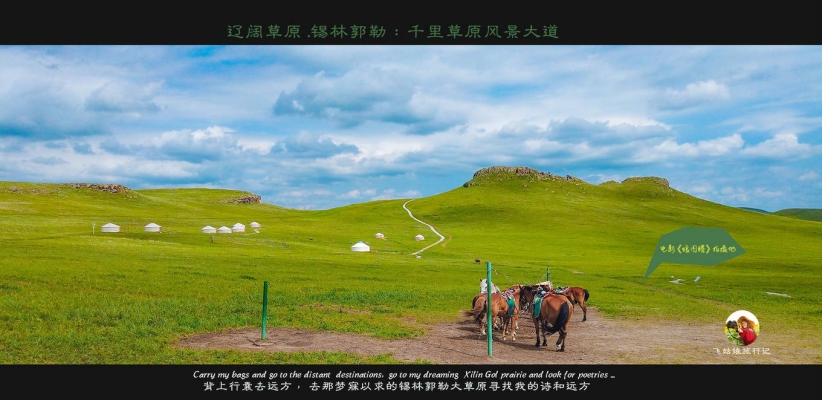 赤峰夢幻草原公司地址電話號碼-第1張圖片