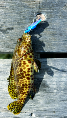 赤峰路亞釣魚點(diǎn)地址電話號碼-第1張圖片