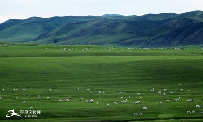 赤峰阿旗海峰超市電話號(hào)碼-第1張圖片