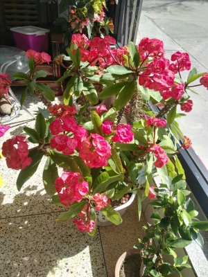 赤峰市寧城垂釣園電話號(hào)碼-第1張圖片