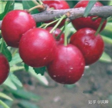 赤峰王金寶診所電話號碼多少-第1張圖片