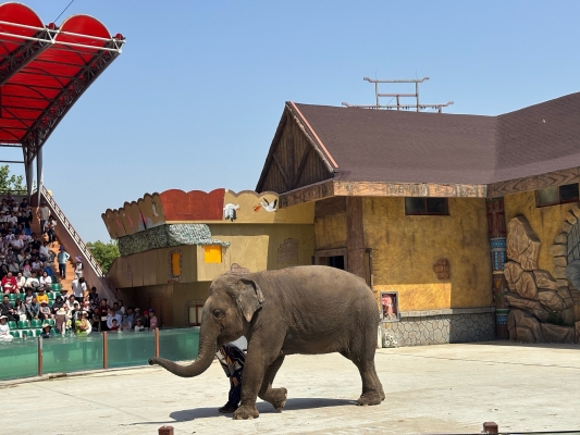 赤峰藍野動物園電話號碼-第1張圖片