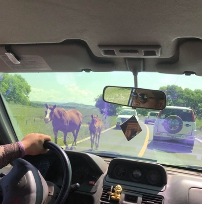 赤峰吉普維修點(diǎn)地址電話號(hào)碼-第1張圖片