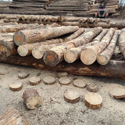 赤峰回收方木模板電話號-第1張圖片