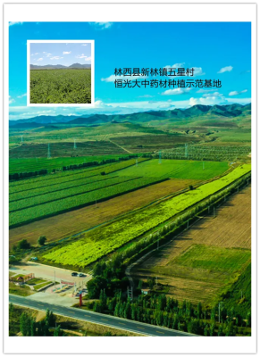 赤峰到牛營子班車電話號(hào)碼-第1張圖片