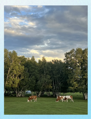 赤峰三胖烤肉店電話號碼-第1張圖片