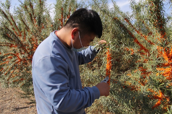 赤峰林果小鎮(zhèn)電話號(hào)碼多少-第1張圖片