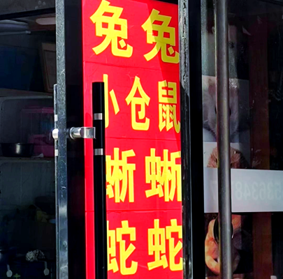 赤峰花鳥魚蟲魚市場電話號碼-第1張圖片