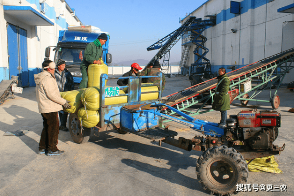 赤峰鳥(niǎo)獸市場(chǎng)電話號(hào)碼查詢(xún)是多少-第1張圖片