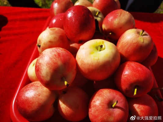 赤峰寧城維多利超市電話號碼-第1張圖片