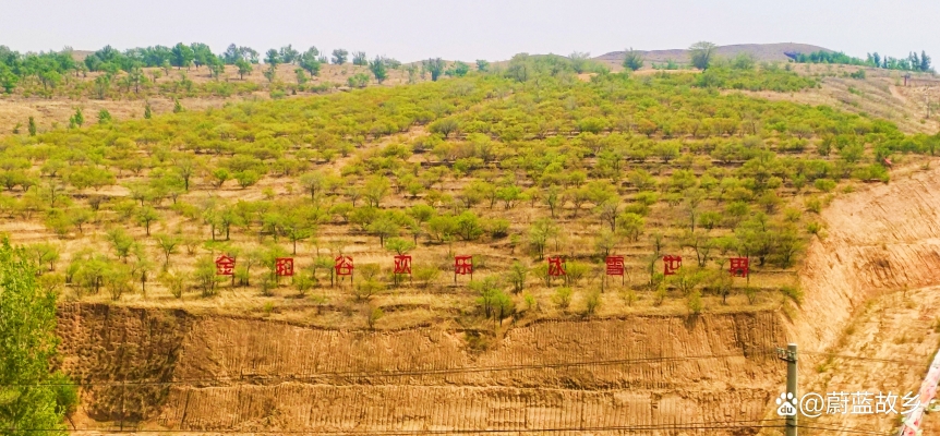 赤峰小鎮(zhèn)影視中心電話號(hào)碼是多少-第1張圖片