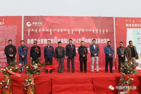 赤峰新城鴨貨店電話號碼多少-第1張圖片