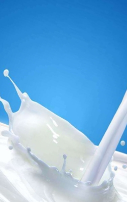 赤峰金可澳奶粉代理電話號碼-第1張圖片