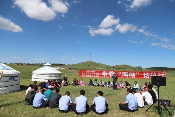 赤峰哪里有收兔子的電話號(hào)-第1張圖片