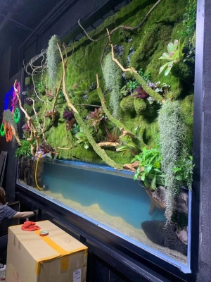 赤峰水岸天街花店電話號碼-第1張圖片