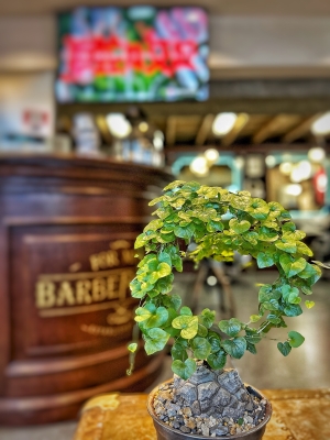 赤峰小花美發(fā)電話多少號(hào)-第1張圖片