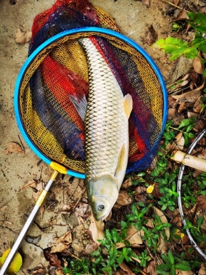 赤峰萬澤垂釣園電話地址查詢-第1張圖片