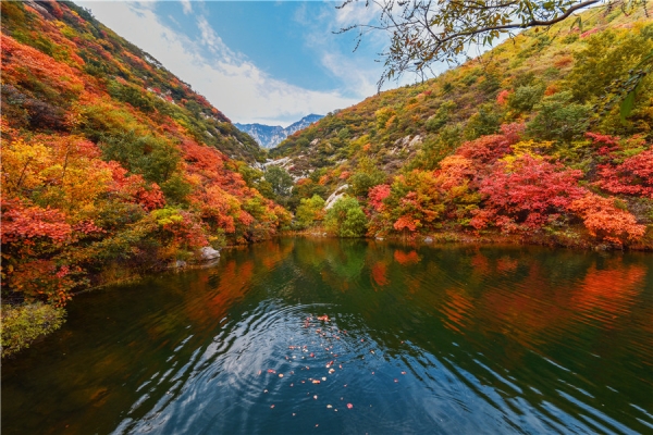赤峰北山公墓電話(huà)多少啊-第1張圖片