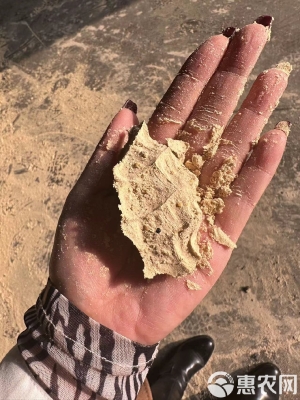 赤峰米糠銷售地址電話號碼查詢-第1張圖片