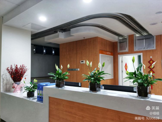 赤峰貓貓洗澡團(tuán)購地址電話號碼-第1張圖片