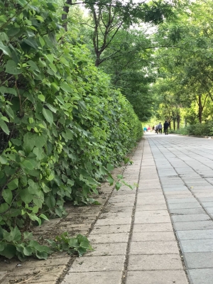 赤峰北山公園電話號碼查詢是多少-第1張圖片