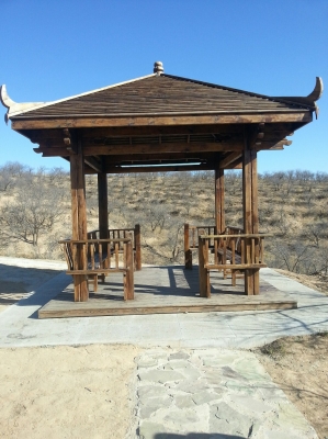 赤峰室內(nèi)景觀定制店電話號碼-第1張圖片