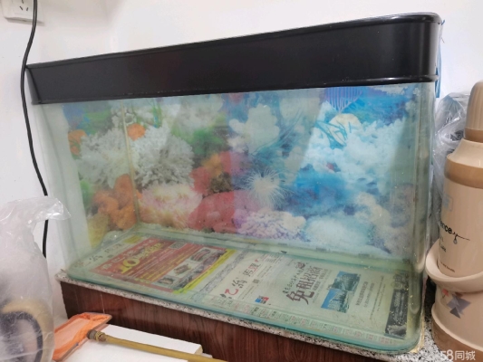 赤峰魚缸回收電話號碼多少號-第1張圖片