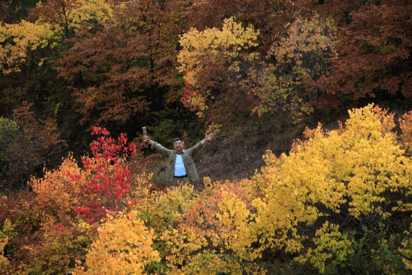 魯北到赤峰拼車電話號碼-第1張圖片