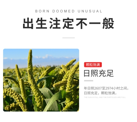 赤峰鳥糧谷子批發(fā)電話號碼-第1張圖片