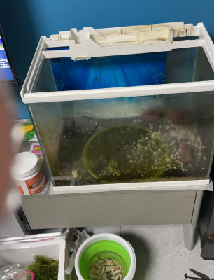 赤峰嵌入式魚(yú)缸維修電話(huà)號(hào)碼-第1張圖片