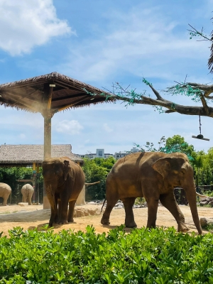 赤峰萬悅動物園電話號碼-第1張圖片